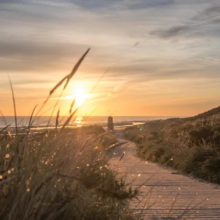 Rosenhuus Wildrose *